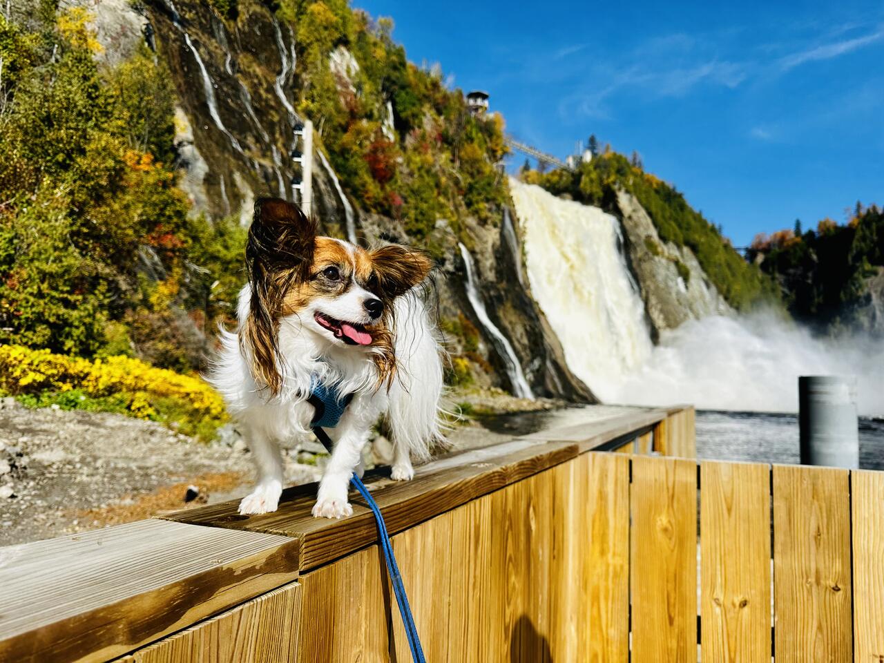 Fall Season Falls Sightseeing