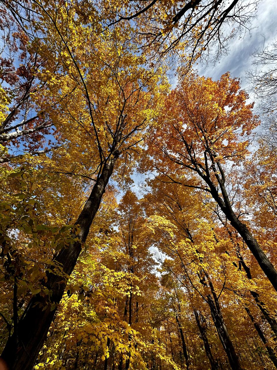 Fall Season Falls Sightseeing